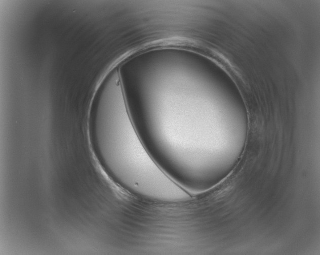 X0000075921418200609151052