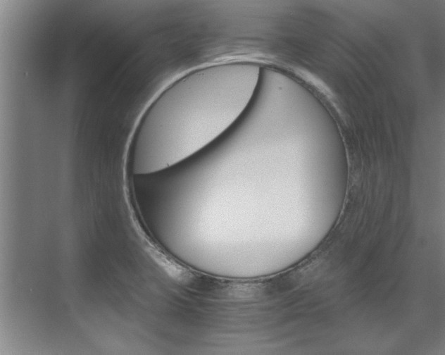 X0000075921423200609151052