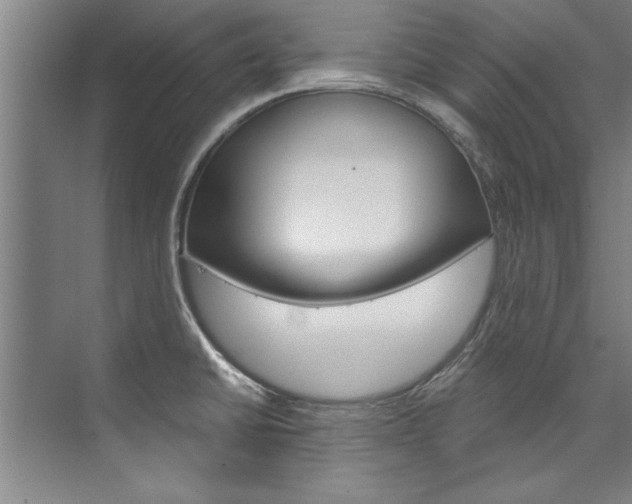 X0000075921430200609151052
