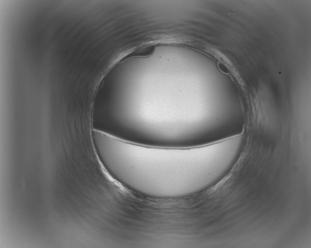 X0000075921433200609151052
