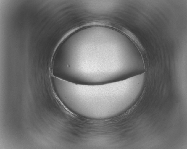X0000075921436200609151052