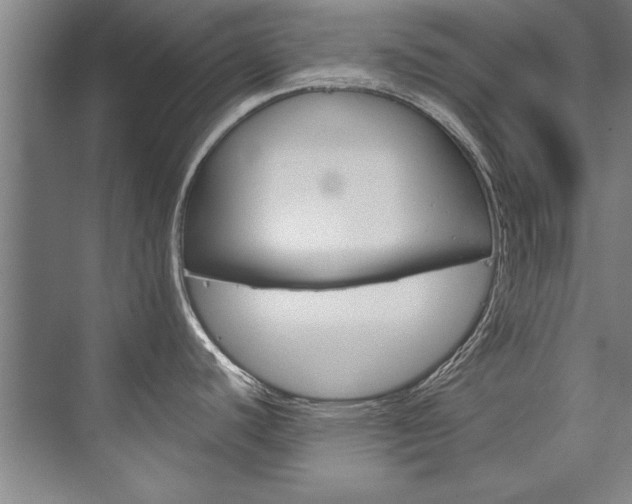 X0000075921440200609151052