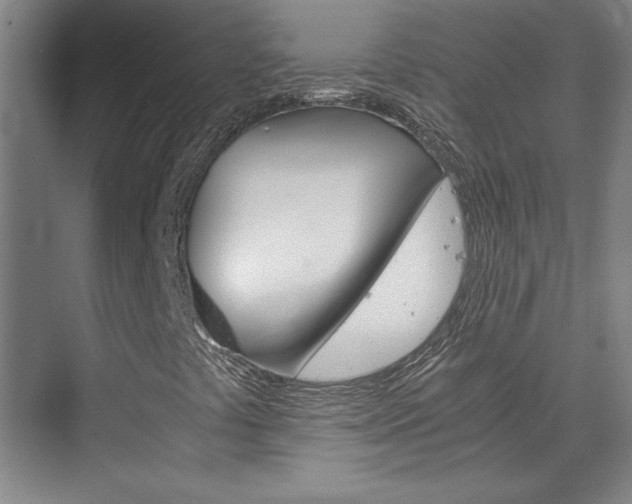 X0000075921441200609151052