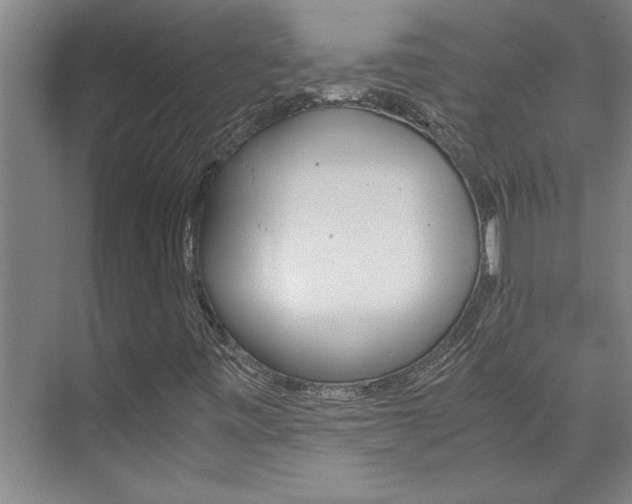 X0000075921443200609151052