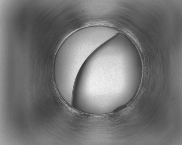 X0000075921481200609151051