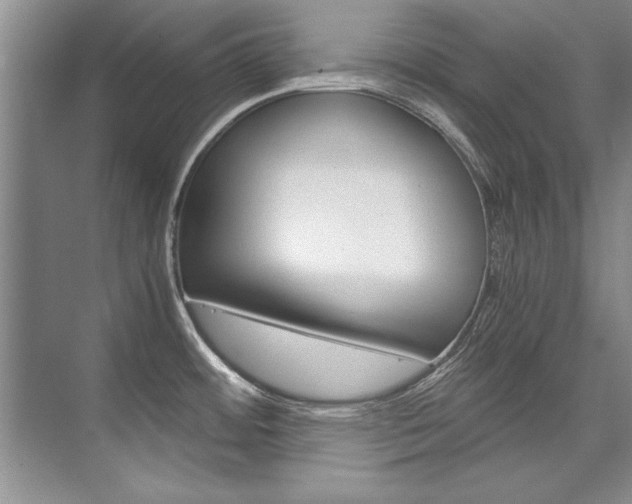 X0000075921484200609151051