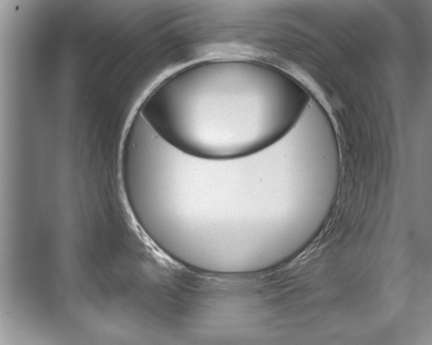 X0000075921488200609151051
