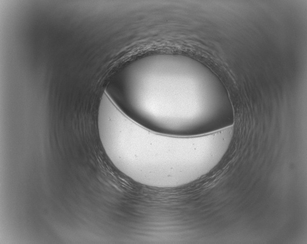 X0000075921490200609151050