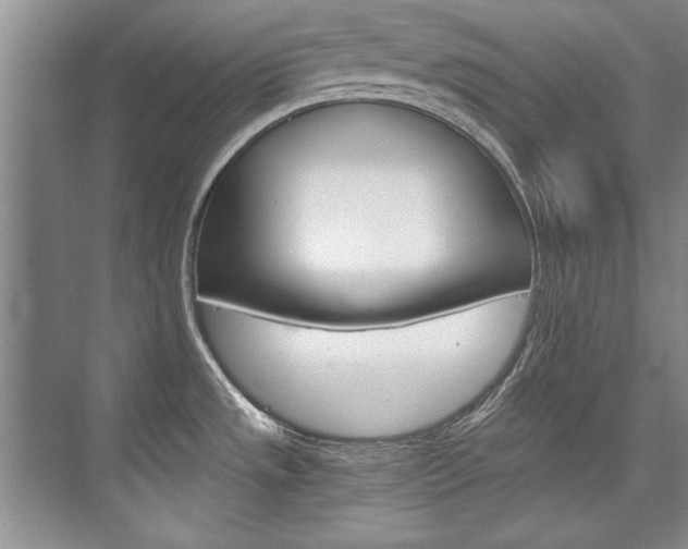 X0000075921533200609151051