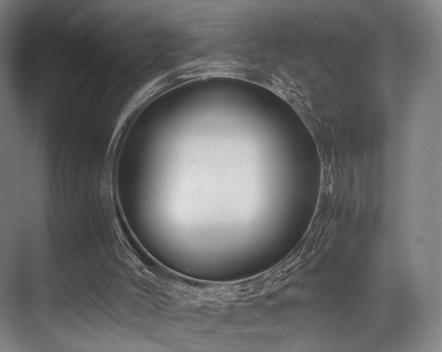 X0000075920004200609151507