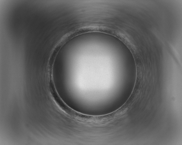 X0000075920016200609151506