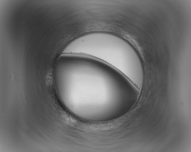 X0000075920017200609151506