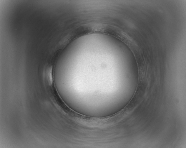 X0000075920028200609151506