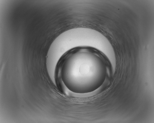 X0000075920033200609151506