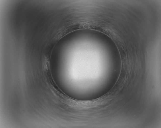 X0000075920038200609151506