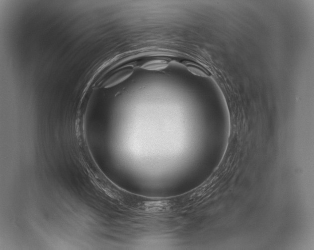 X0000075920050200609151505