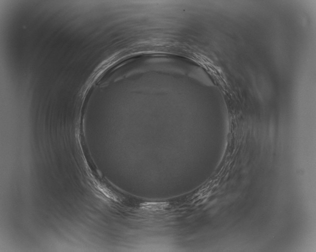 X0000075920051200609151505