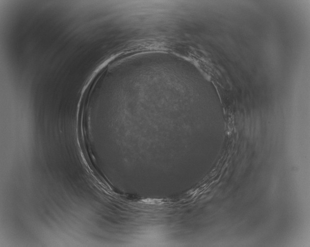 X0000075920052200609151505