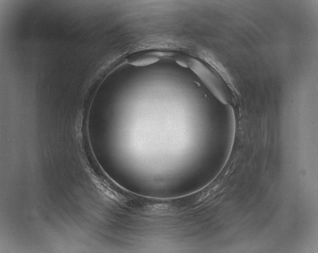 X0000075920058200609151505