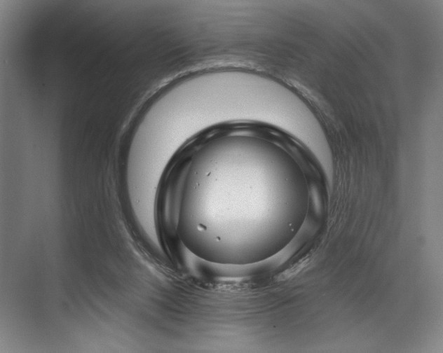 X0000075920064200609151505