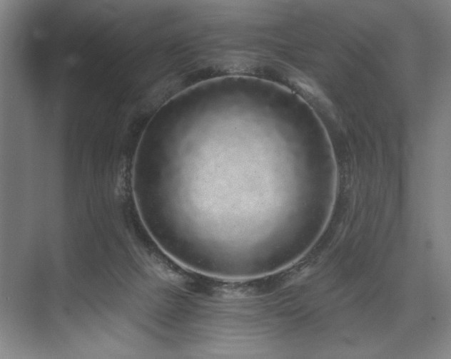X0000075920073200609151505