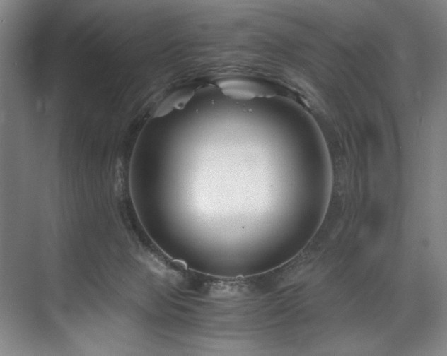 X0000075920077200609151506