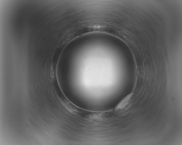 X0000075920086200609151506