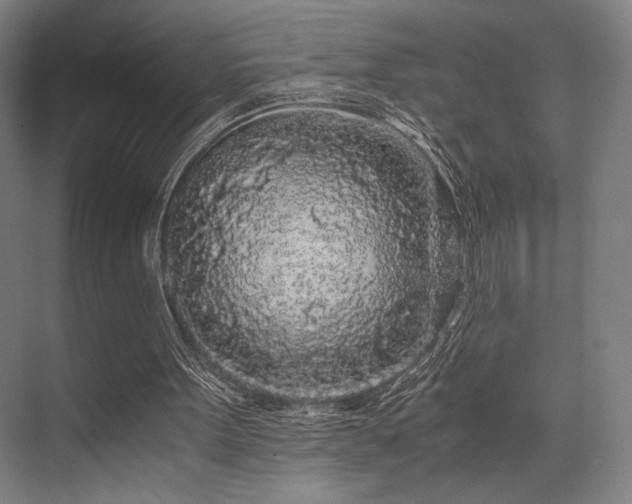 X0000075920099200609151505