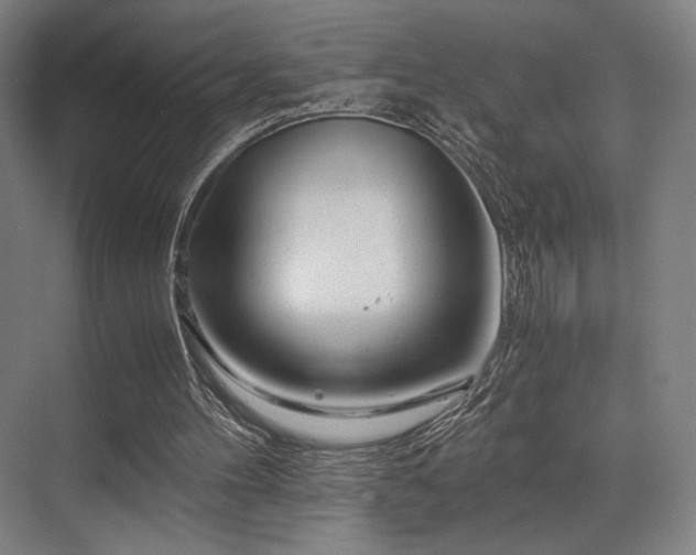X0000075920100200609151505