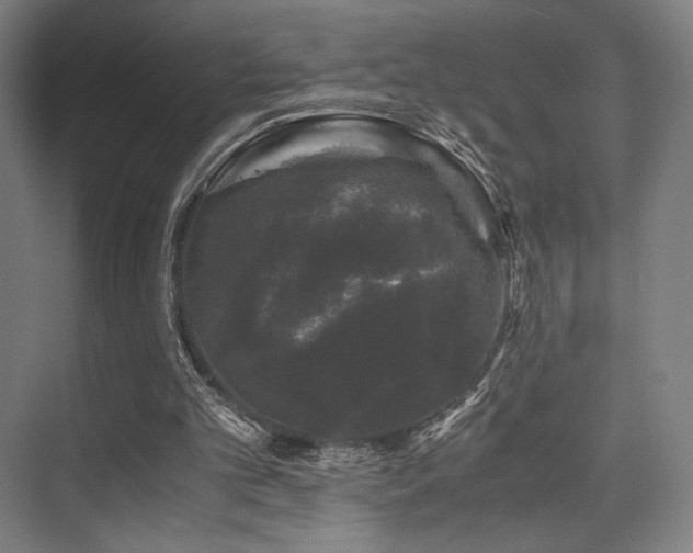 X0000075920101200609151505