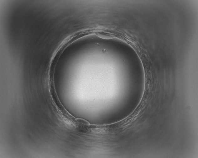 X0000075920102200609151505