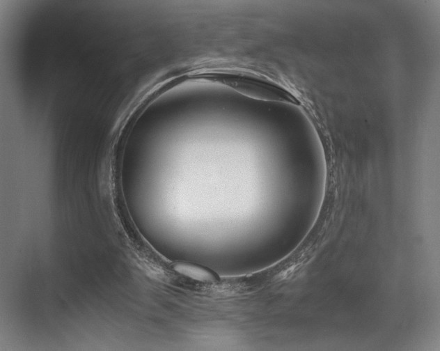 X0000075920103200609151505