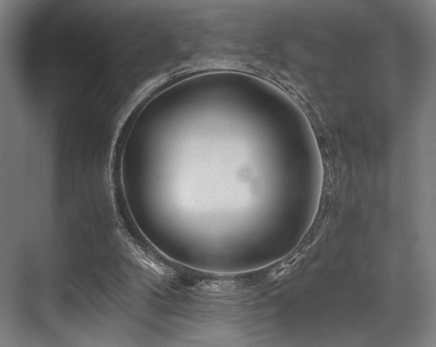 X0000075920104200609151505