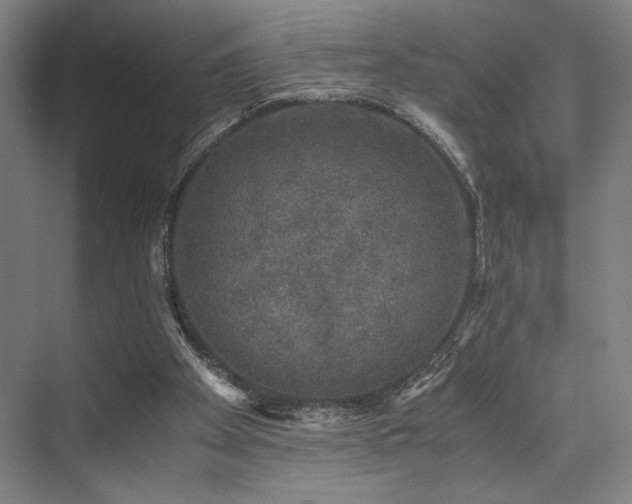 X0000075920105200609151505