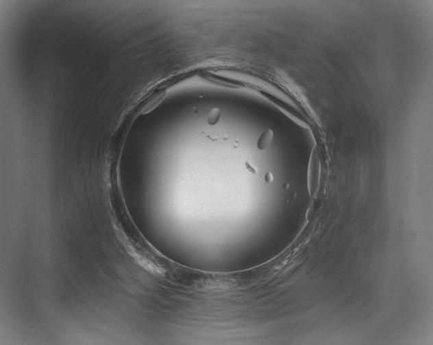 X0000075920106200609151505