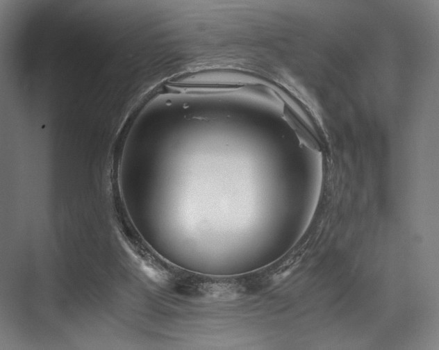 X0000075920107200609151505