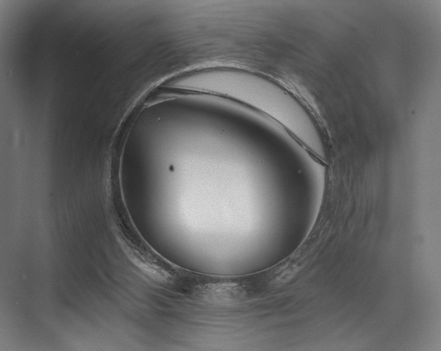X0000075920108200609151505