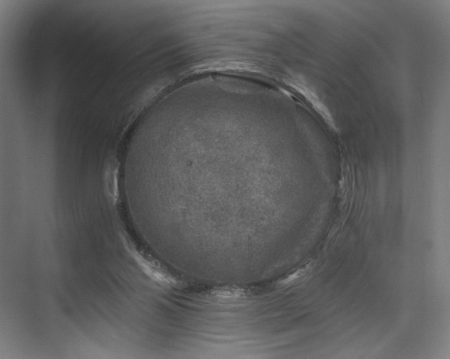 X0000075920110200609151505