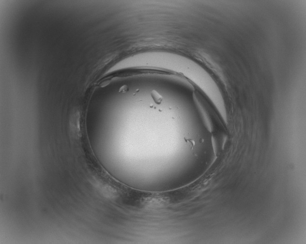 X0000075920115200609151505