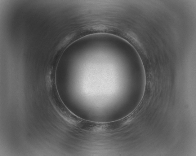 X0000075920116200609151505