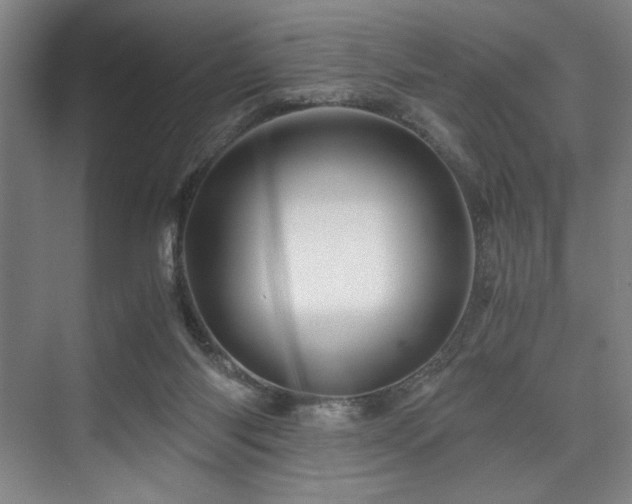 X0000075920118200609151505