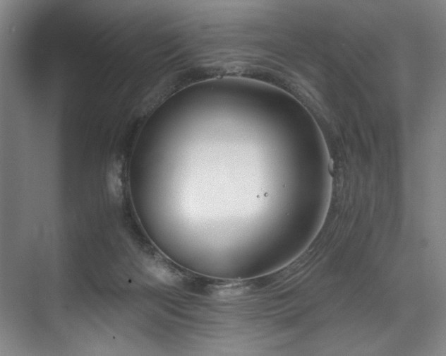 X0000075920122200609151505