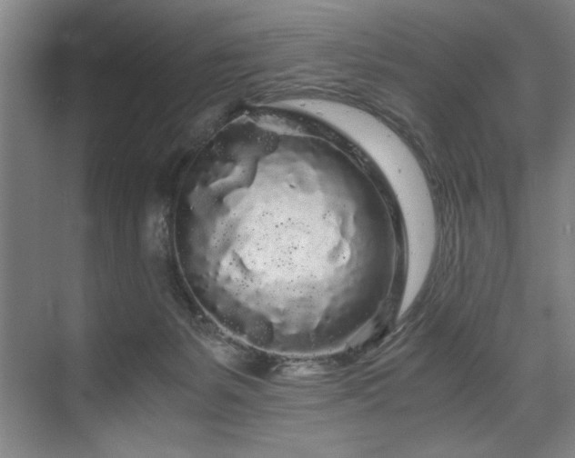 X0000075920127200609151505