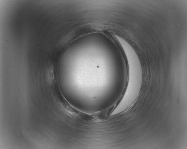 X0000075920128200609151505