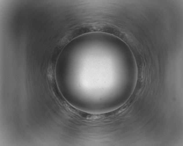 X0000075920129200609151505