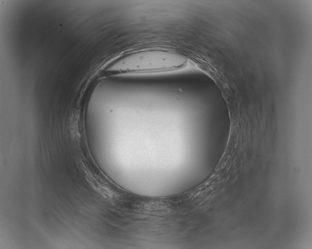 X0000075920146200609151503
