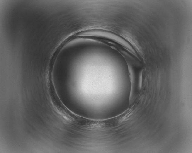 X0000075920156200609151504