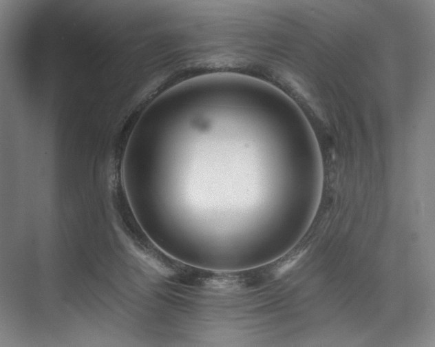 X0000075920164200609151504