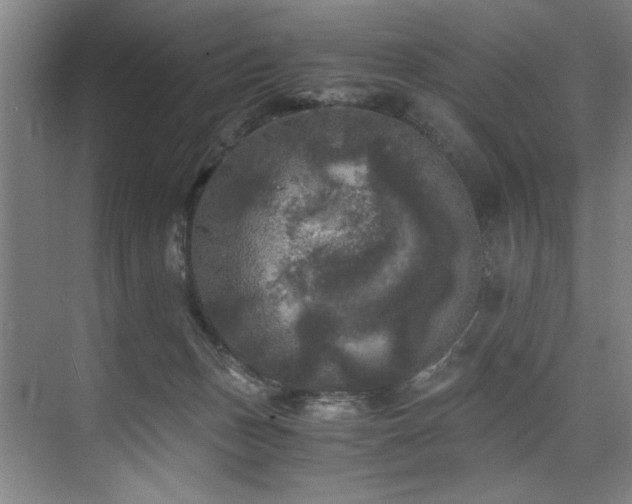 X0000075920175200609151504