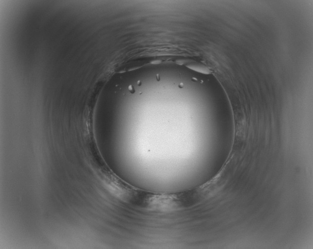 X0000075920179200609151504